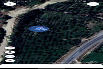 باغ انواع میوه ۴۵۰۰۰ متر در روستای گوگدرق