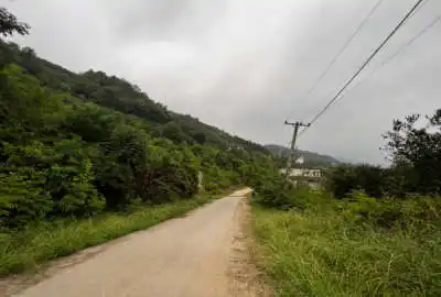 زمین مسکونی ۲۵۰ متر روستای مازوباغسر