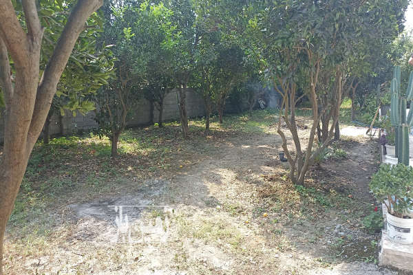 باغ فروشی در بشهرگتاب بالاگتاب ۱۳۵۰ متر-1