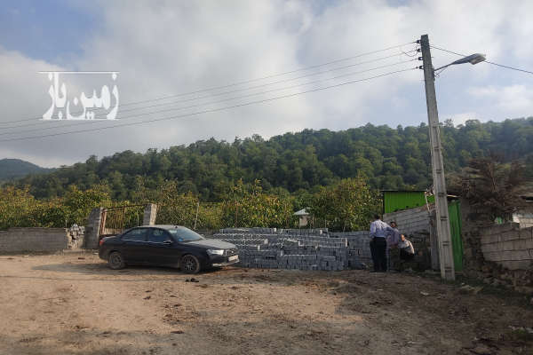 زمین مسکونی و باغی پرتقال در روستای احمدکلا بندپی شرقی-3