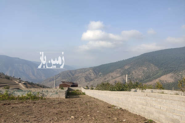 زمین مسکونی و باغی پرتقال در روستای احمدکلا بندپی شرقی-4