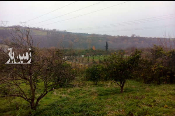 زمین کشاورزی حدود ۳۰۰۰ متر واقع در روستای وسطی کلا-1