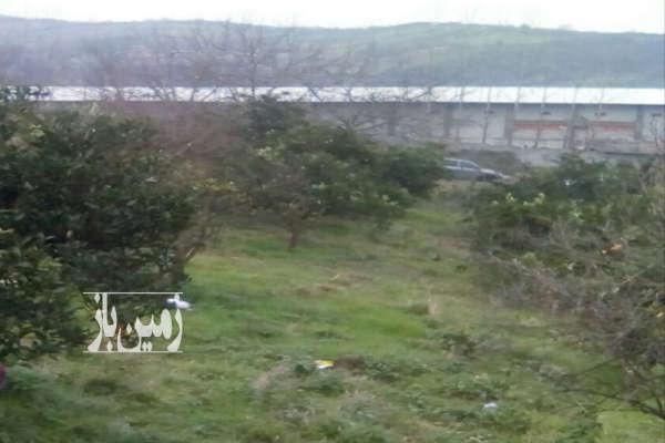 زمین کشاورزی حدود ۳۰۰۰ متر واقع در روستای وسطی کلا-2