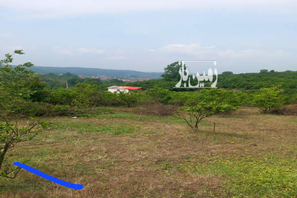 زمین باغی ۱۷۰ متر با ویوی عالی در مرمت خارکش تپه-1