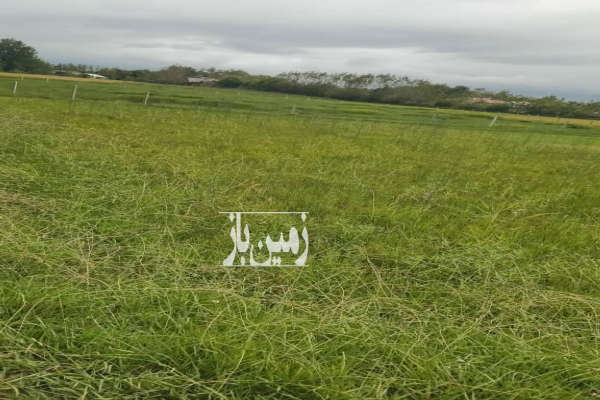 زمین باغی کیلومتر ۸ کوچصفهان به سنگر ۵۰۰ متر-1