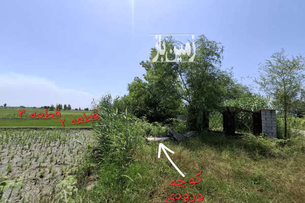 زمین کنار بافت مدارک کامل نقشه قابل معاوضه چهارمحل متوریچ-1