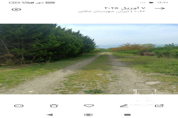 ۲۰۰ متر زمین در تنکابن سلیمان آباد کندسر-1