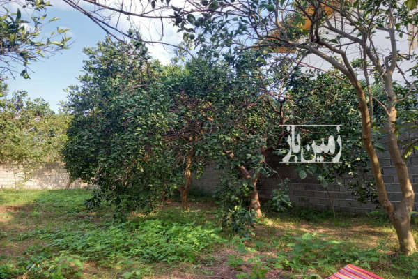 زمین داخل بافت ۸۷۰ متر در جاده نظامی روستای نوگیری-2