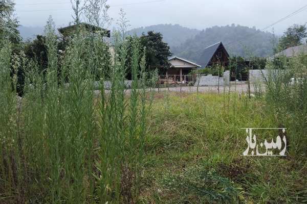 زمین ۳۰۰ متری مسکونی پای کوه-1