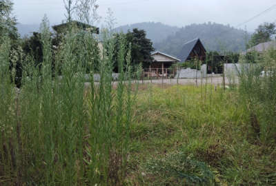 زمین ۳۰۰ متری مسکونی پای کوه