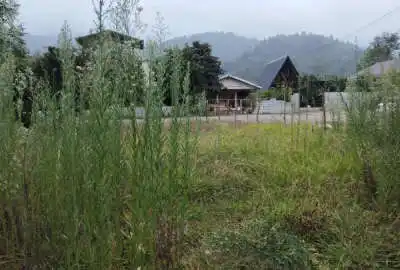 زمین ۳۰۰ متری مسکونی پای کوه