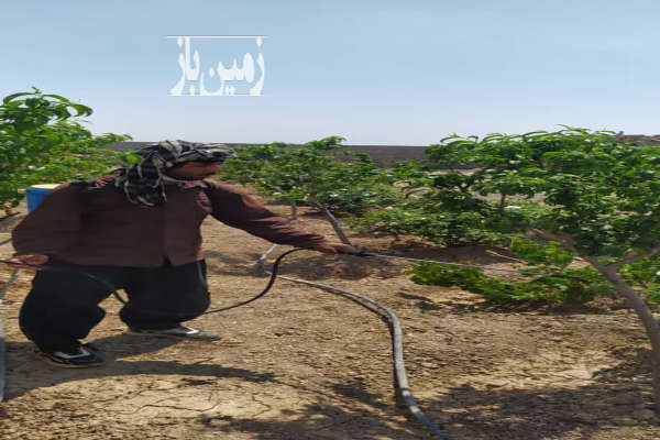 باغچه ۴ ساله در مجتمع محصور شده جاده وهن آباد ۵۷۴ متر-4