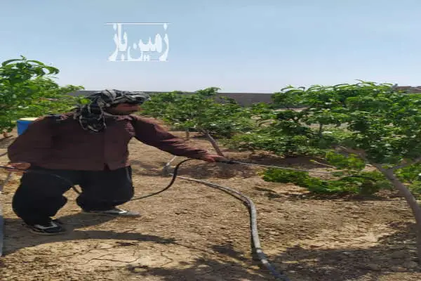 باغچه ۴ ساله در مجتمع محصور شده جاده وهن آباد ۵۷۴ متر - تصویر 4