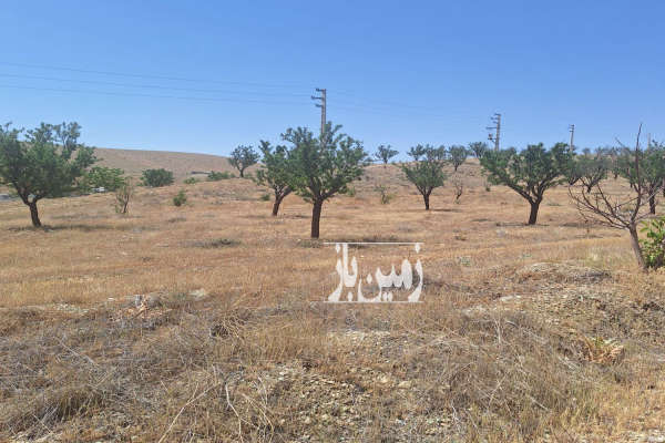 زمین مابین کیلان و وادان مجتمع الهیه ۴۷۶ متر-2