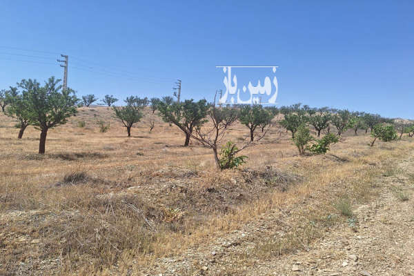 زمین مابین کیلان و وادان مجتمع الهیه ۴۷۶ متر-3