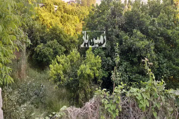 زمین مسکونی ۵۱۰ متر بابلکنار روستای کاردکش - تصویر 2