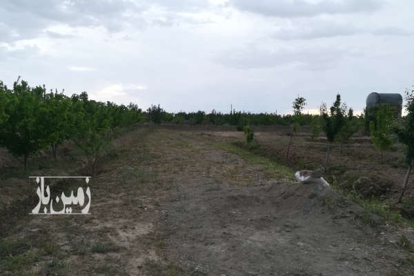 باغچه ۱۰۰۰ متری با آب شهرک کورش روستای عبدل اباد-2