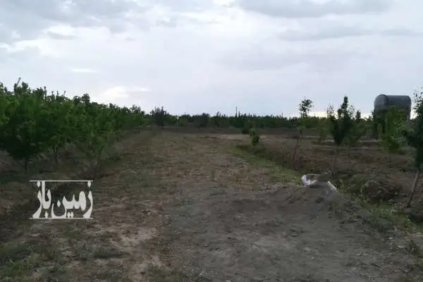 باغچه ۱۰۰۰ متری با آب شهرک کورش روستای عبدل اباد - تصویر 2