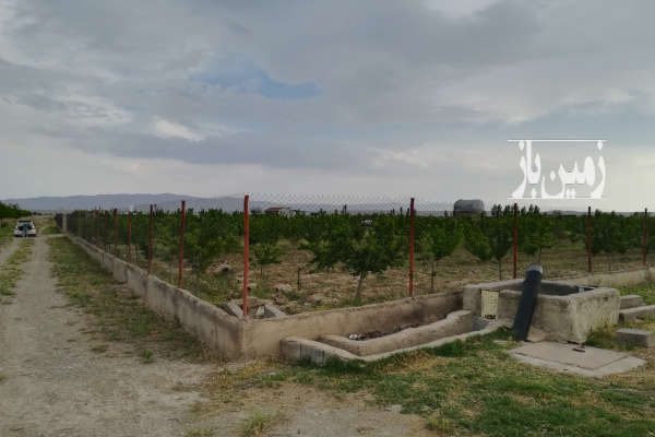 باغچه ۱۰۰۰ متری با آب شهرک کورش روستای عبدل اباد-4