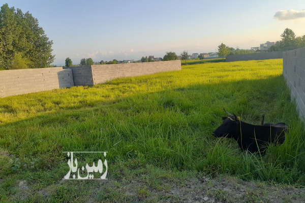 زمین مسکونی ۲۰۰ متر در رشت پیرکلاچای-4