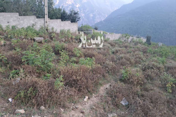 زمین ییلاقی الاشت سوادکوه روستای کارمزد بزرگ ۲۵۰ متر-1