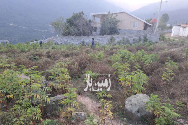 زمین ییلاقی الاشت سوادکوه روستای کارمزد بزرگ ۲۵۰ متر-3