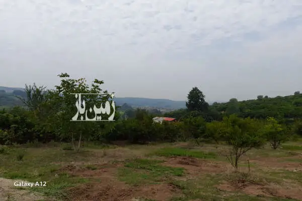 زمین باغی ۳۴۰ متر در تنگ لته روستای مرمت - تصویر 3