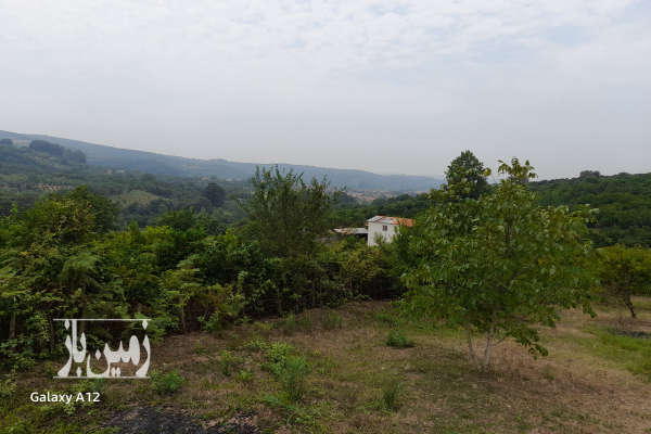 زمین باغی ۳۴۰ متر در تنگ لته روستای مرمت-4