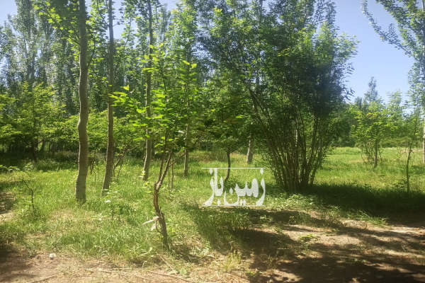 باغ ۱۳۰۰ متری روستای گردشگری هونجان چشم انداز بینظیر-1