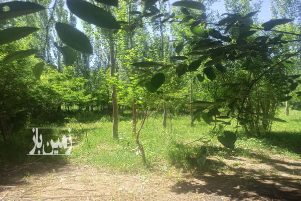 باغ ۱۳۰۰ متری روستای گردشگری هونجان چشم انداز بینظیر-2