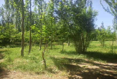 باغ ۱۳۰۰ متری روستای گردشگری هونجان چشم انداز بینظیر