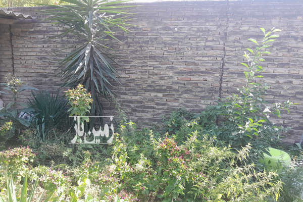 زمین مسکونی ۲۰۰ متری در منطقه میاندرود مرکزشهر-1