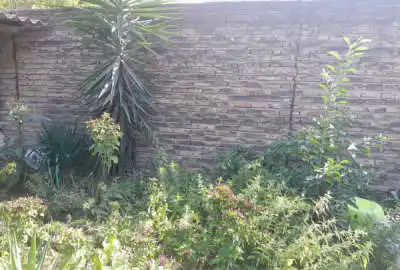 زمین مسکونی ۲۰۰ متری در منطقه میاندرود مرکزشهر