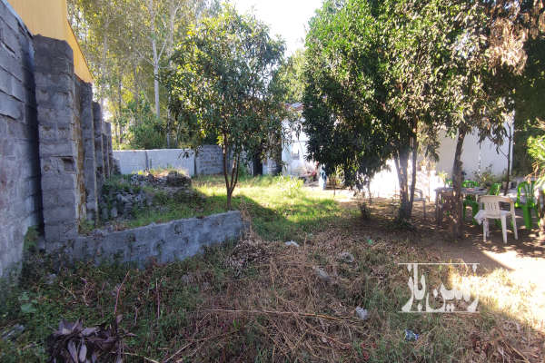 زمین مسکونی با موقعیت تجاری ۲۱۵ متری روستای علی آباد-3