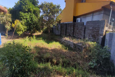 زمین مسکونی با موقعیت تجاری ۲۱۵ متری روستای علی آباد