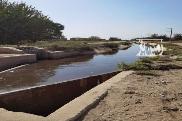 زمین کشاورزی ۹۴۶۲ متر سند تکبرگ بر کانال سهم موتور آب کهنک-3