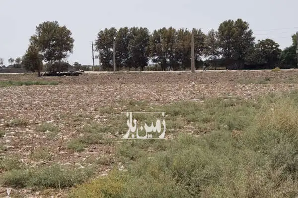 زمین کشاورزی ۹۴۶۲ متر سند تکبرگ بر کانال سهم موتور آب کهنک - تصویر 3