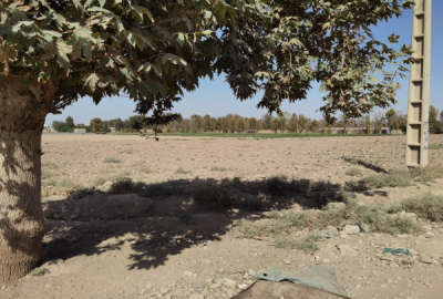 زمین کشاورزی ۹۴۶۲ متر سند تکبرگ بر کانال سهم موتور آب کهنک