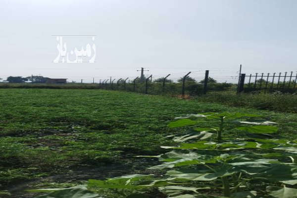 زمین باغی جاده سدن سید میران روبروی چاه آب ۶۲۰ متر-1