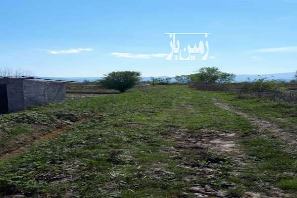 زمین مسکونی درروستای شالده شفت ۷۰۰۰ متر-1