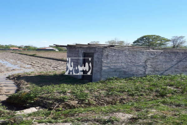 زمین مسکونی درروستای شالده شفت ۷۰۰۰ متر-2