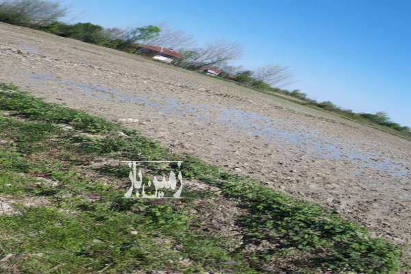 زمین مسکونی درروستای شالده شفت ۷۰۰۰ متر-3