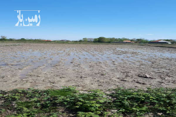زمین مسکونی درروستای شالده شفت ۷۰۰۰ متر-4