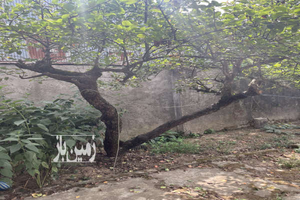 زمین با خانه ویلایی فروشی ۳۳۰ متری جانبازان خیابان پرند-4