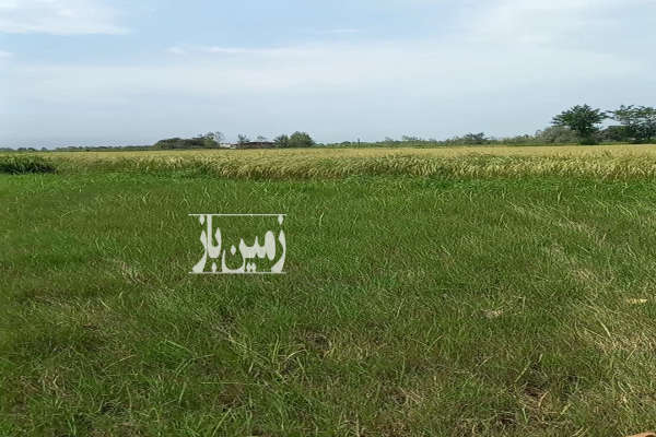 زمین مسکونی بر آسفالت ۴۴۶ متر دارای پروانه ساخت ۹۰ متری-3