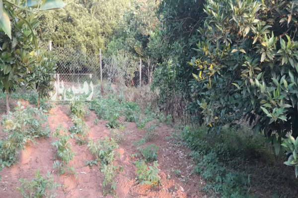 زمین داخل بافت۵۱۰ متر بابلکنارروستای کاردکش-3