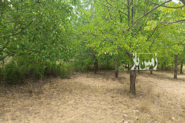 باغ گردو مناسب خانه و باغچه حد فاصل بین دهدشت و یاسوج-2