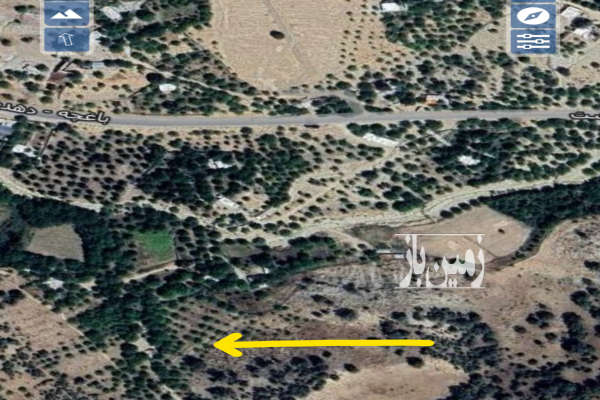 باغ گردو مناسب خانه و باغچه حد فاصل بین دهدشت و یاسوج-3