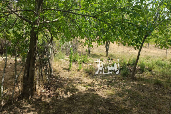 باغ گردو مناسب خانه و باغچه حد فاصل بین دهدشت و یاسوج-4