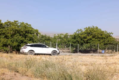 باغ گردو بادام ۱۲۰۰۰ مترچهار دیواری خوانسار روستای صفادشت